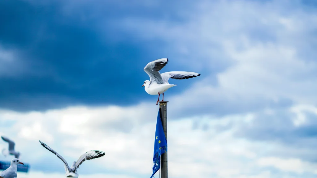 Reti da pesca sulla banchina