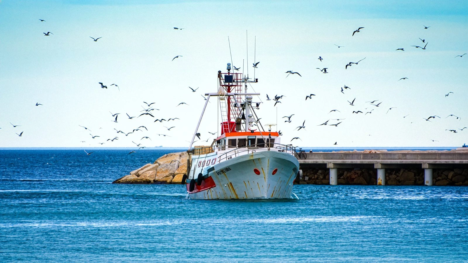 Barche da pesca ormeggiate nel porto di Cattolica