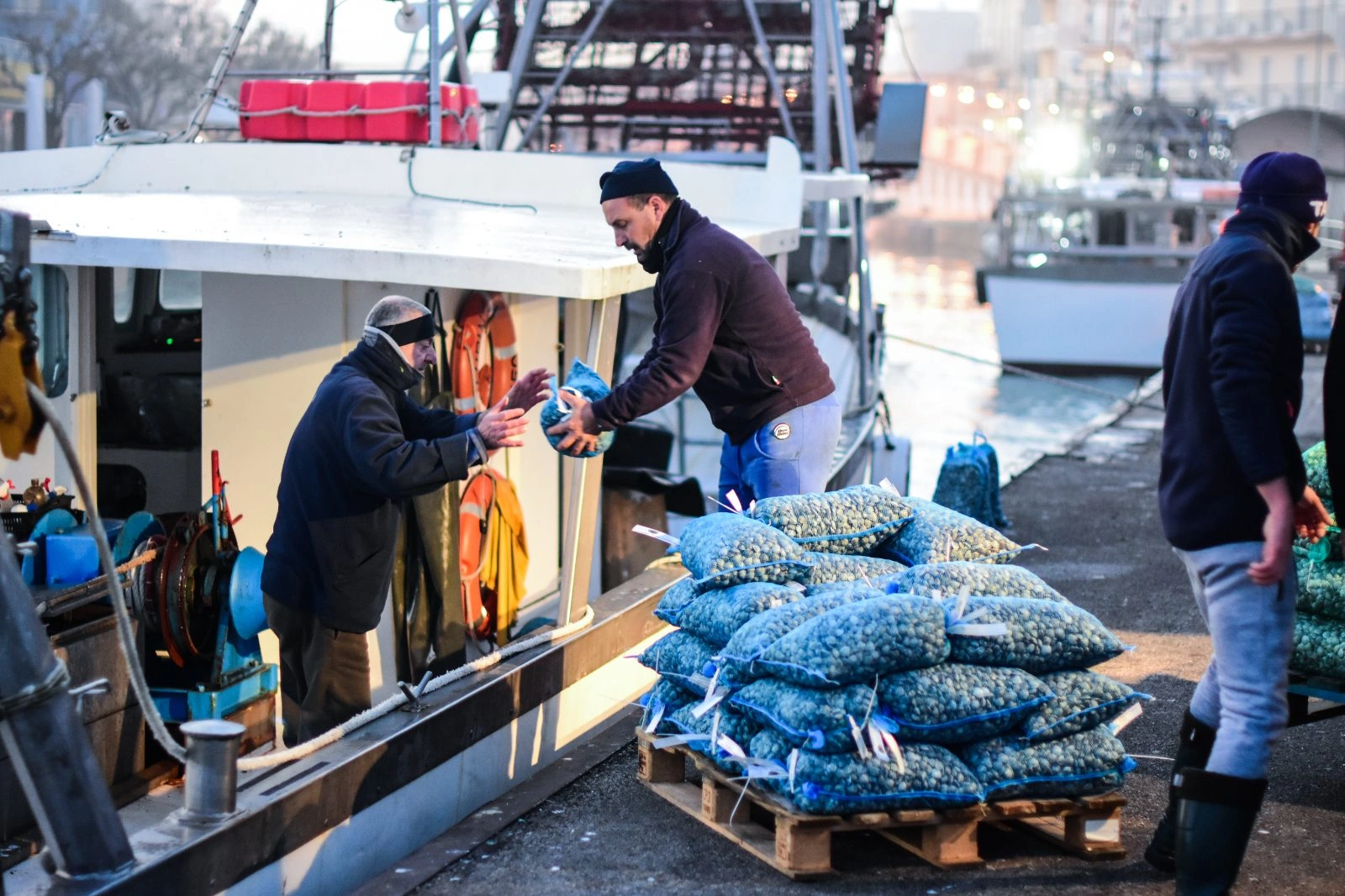 Lavorazione del pescato in stabilimento