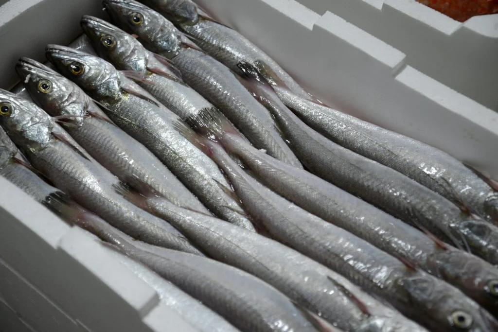 Cassette di pesce sulla banchina